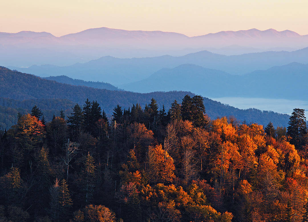 mountains with autumn leaves